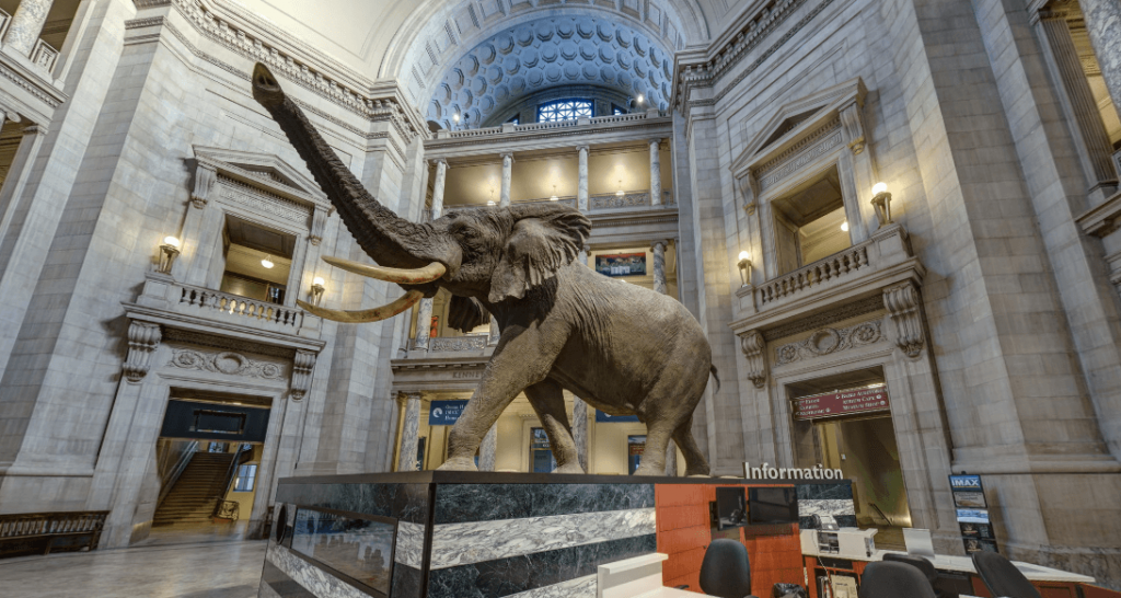 Virtual Field Trips - Smithsonian National Museum Of Natural History