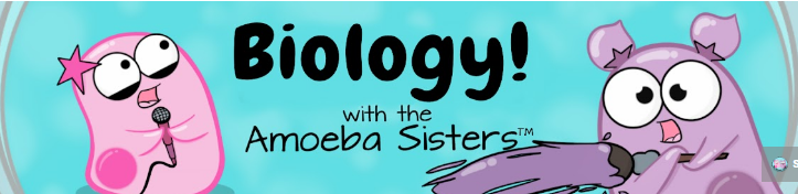 Amoeba Sisters Youtube. 